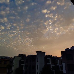 人人精品黄色在线观看
