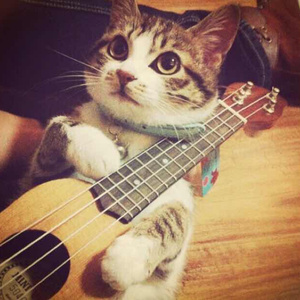 人人精品黄色在线观看
