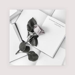 人人精品黄色在线观看
